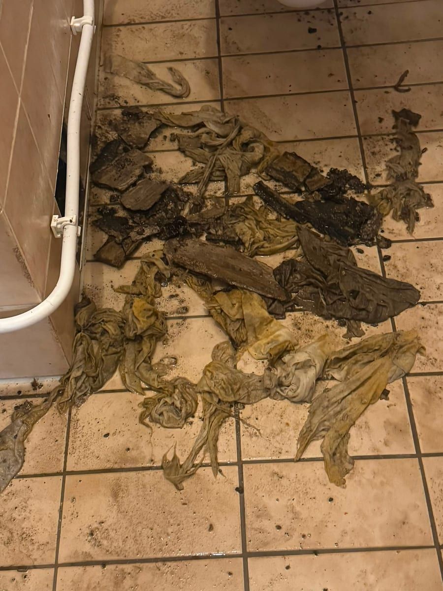 Aus der Leitung geholte Ablagerungen liegen auf dem Fliesenboden